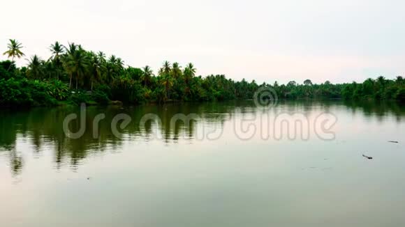 农村湖泊自然景观热带河流视频的预览图