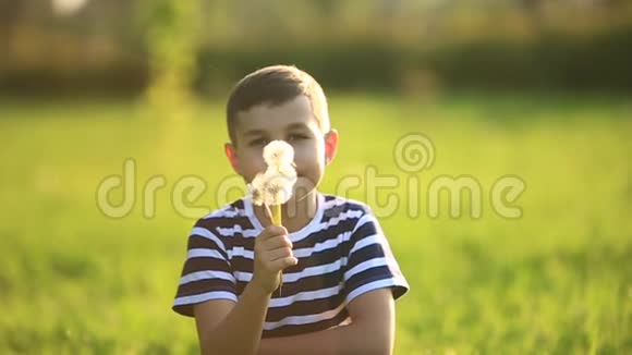 穿着条纹T恤吹蒲公英的小男孩春天晴朗的天气视频的预览图