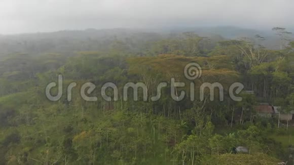 鸟瞰巴厘岛森林和丛林印度尼西亚视频的预览图