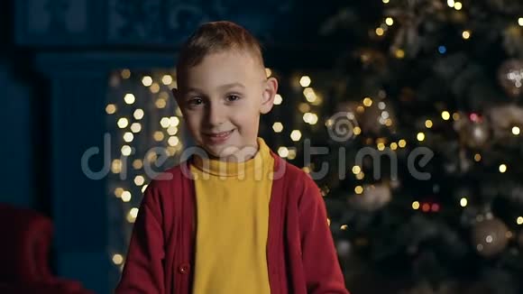可爱的小男孩看着镜头在圣诞树的背景上微笑视频的预览图