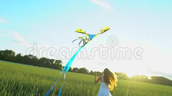 美丽的女孩风筝随风飞舞日落时在麦田上奔跑自由健康幸福理念快乐视频的预览图
