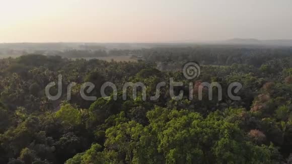 无人机视频密林弥撒在马高市内的果阿州印度视频的预览图