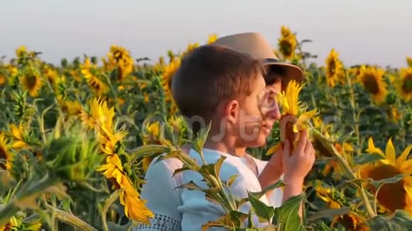 一个小男孩坐在妈妈手上在田野里嗅着一朵向日葵花家庭幸福视频的预览图