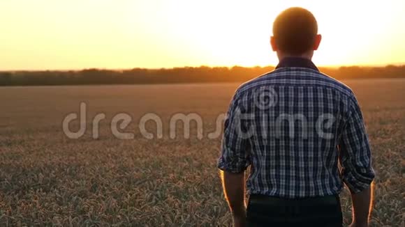 镜头跟随一个男人在日落时分走在麦田上的农民视频的预览图