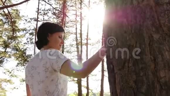 年轻的女游客在森林里绕着一棵大树绕圈子走摄像机在那个人后面移动视频的预览图