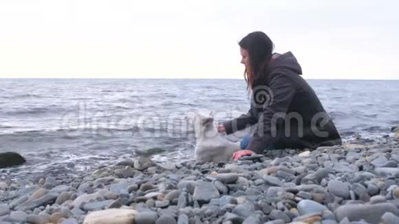 年轻女子和她的白狗坐在海边的石滩上视频的预览图