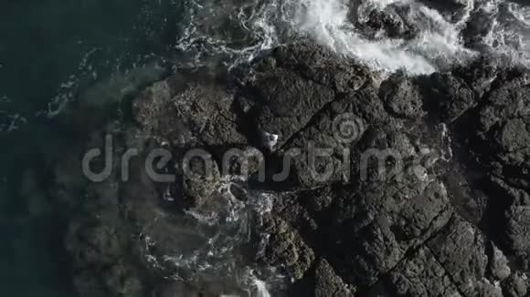 人类和狗在海边探索岩石视频的预览图