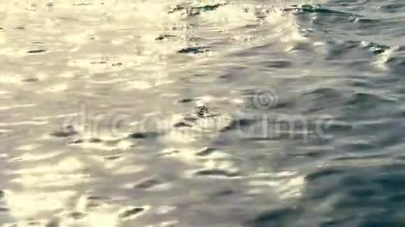 特写在海水的表面在夕阳的光芒下漂浮着一个空的塑料瓶污染概念视频的预览图