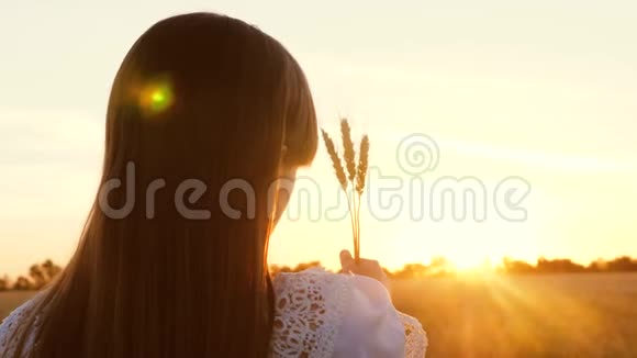 年轻的女孩手里拿着小麦看着一片成熟的麦子上美丽的日落视频的预览图