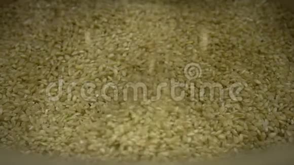 米粒种子背景的慢运动下降农民饲料概念视频的预览图