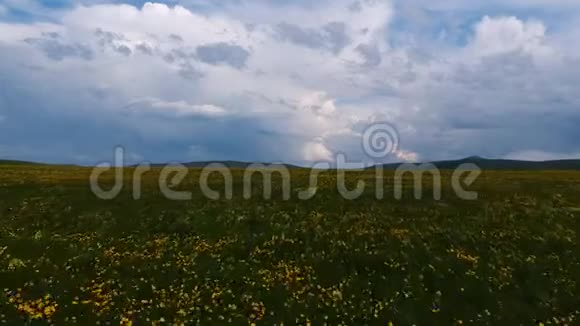 在群山的背景上点缀着黄色花朵的田野视频的预览图