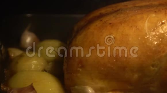 慢动作感恩节准备美味可口的土耳其烤箱烹饪视频的预览图