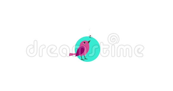 一只粉红色的鸟在唱歌视频的预览图