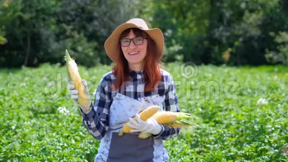 有玉米的女人在篮子里在农场或菜园里收割或出售蔬菜的概念视频的预览图