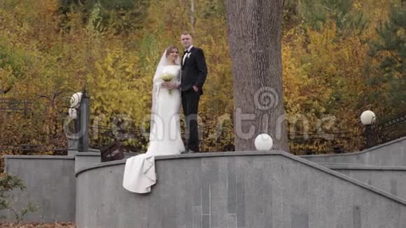 新郎和新娘站在楼梯的顶部看着森林秋季森林的背景视频的预览图