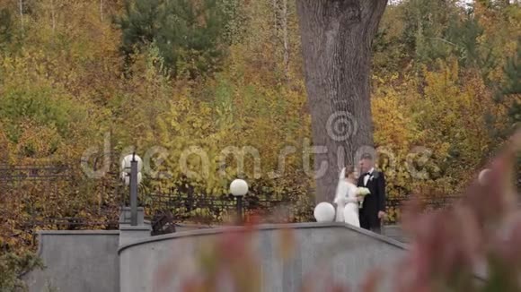 新郎和新娘站在楼梯的顶部看着森林秋季森林的背景视频的预览图