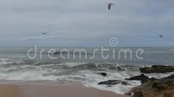 空中拍摄的粗糙的白色海浪拍打在沙滩上落到地面视频的预览图
