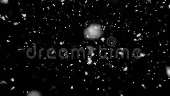 镜头前雪下黑色背景下真实的雪花飘落视频的预览图