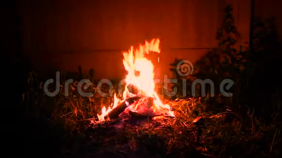 烧火夜火柴火在火中燃烧篝火晚会视频的预览图
