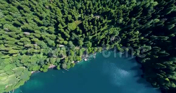 从山顶俯瞰美丽的松林可以看到马来亚里萨阿布哈兹蓝山湖的全景视频的预览图