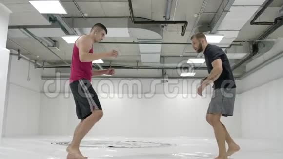 希腊罗马摔跤手在一个有垫子的白色房间里练习自卫技巧投掷和疼痛视频的预览图