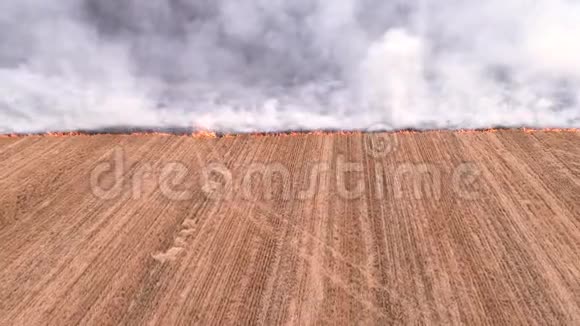 草原植被火烧农业田视频的预览图