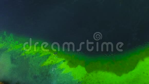 清冷的绿色湖景穿着西服的潜水员在清澈的水中游泳鸟瞰图视频的预览图