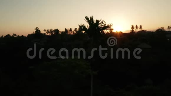 带度假胜地和酒店的热带岛屿上方金色日落的空中景色视频的预览图