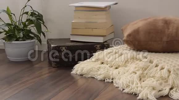 时尚明亮的客厅部分旧的老式手提箱书籍盆栽和羊毛手工毛毯豪华木制f视频的预览图