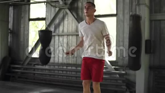 一个白种人的短毛合唱团在拳击馆工作的慢镜头跳在跳绳上体育运动视频的预览图