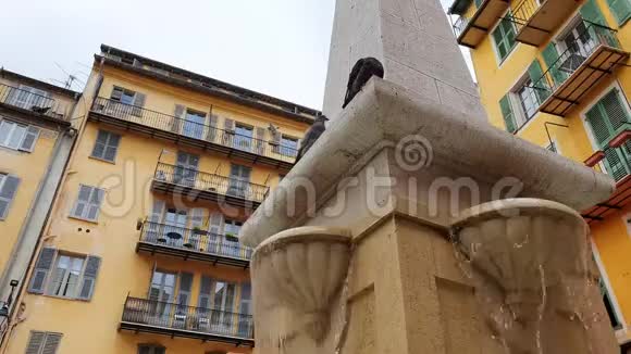 尼斯老城区带鸽子的浪漫喷泉视频的预览图