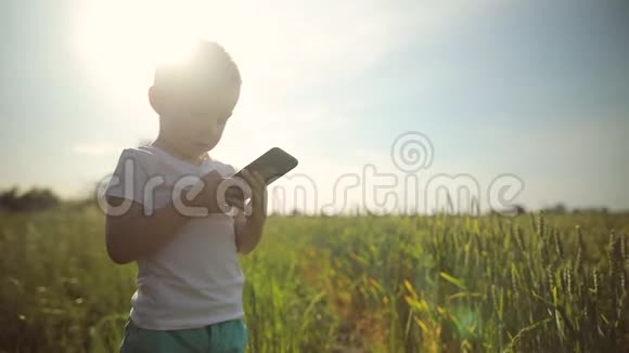 小男孩站在田野的中央使用智能手机玩游戏发布照片有趣现代的孩子视频的预览图