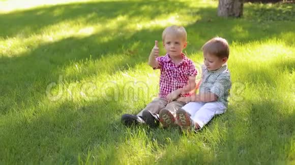 两个小男孩在草地上竖起大拇指视频的预览图
