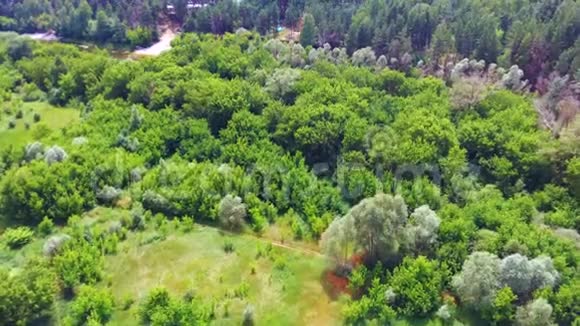 空中无人机视图带着树木飞越山谷视频的预览图
