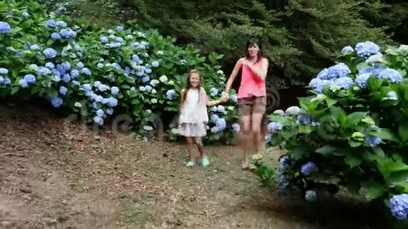 许多盛开的绣球花灌木生长在公园里女孩孩子和女人高兴地跑过蓝色美丽的花朵视频的预览图