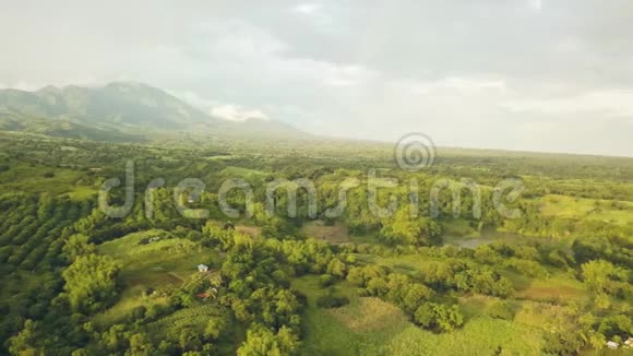 青山背景上美丽的景观水果种植和农耕田Drone看亚洲种植园视频的预览图