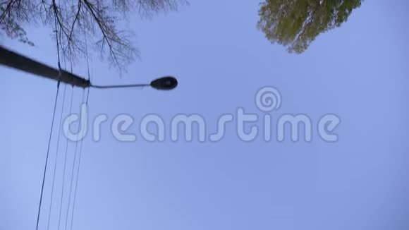 在风景如画的蓝天背景下移动的树木和鸟类的顶部拍摄视频的预览图
