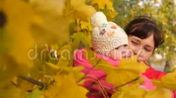 妈妈在一棵树上展示了黄色的秋天枫叶和她母亲在一起的孩子正在秋天的公园里散步视频的预览图