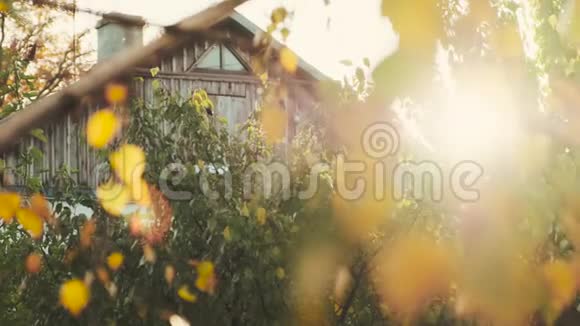 秋叶和阳光背景下有烟囱的农村房子的立面视频的预览图