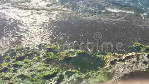 海浪缓慢地拍打着绿色海草的岩石视频的预览图