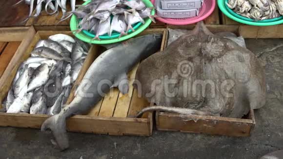 4K销售鲨鱼和曼塔雷在贾加尔奇鱼市场釜山海鲜市场视频的预览图