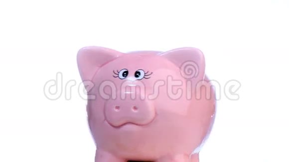 小猪银行纺纱视频的预览图