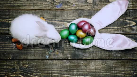 复活节快乐木制背景上有复活节彩蛋的兔子复活节彩蛋可爱的兔子可爱的复活节兔子和彩色鸡蛋视频的预览图