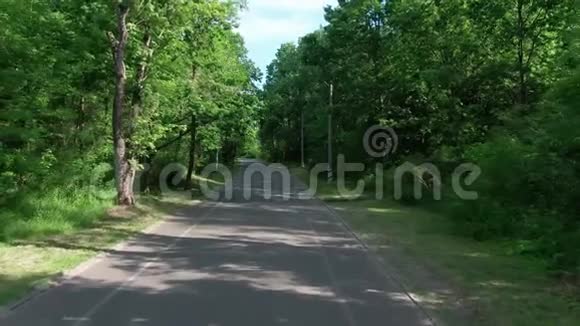 在炎热的夏日公园里树木之间为跑步者和自行车铺上空沥青路视频的预览图
