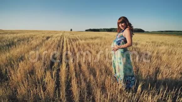 日落时一位怀孕的年轻女子正走在麦田上录像正在播放视频的预览图
