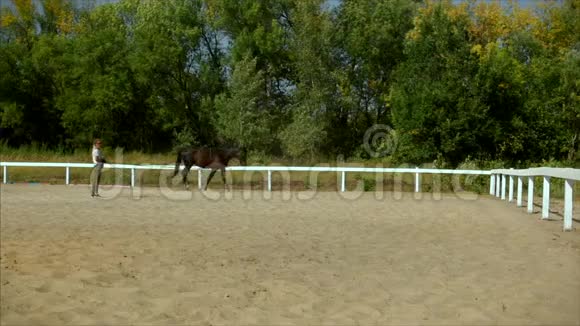 在夏林骑马关心动物长时间休息后训练概念马和人视频的预览图