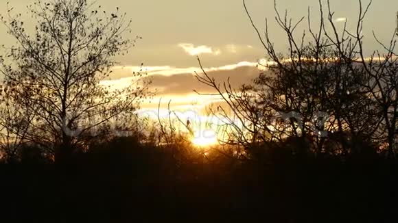 深秋的日落视频的预览图