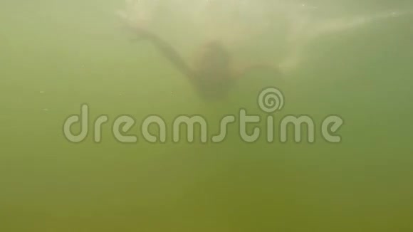 女孩在水里游泳视频的预览图