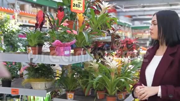 女人在商店里选花超市里的植物部门和家庭主妇在家里寻找盆栽花视频的预览图