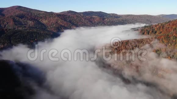 喀尔巴阡山脉令人惊叹的景观鸟瞰晨雾弥漫在河面笼罩着群山预示着视频的预览图